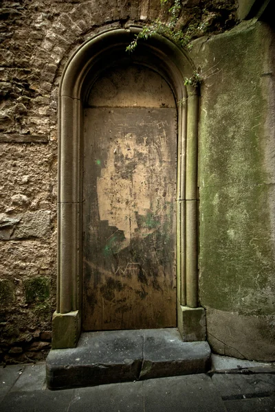 Ancient Door — Stock Photo, Image