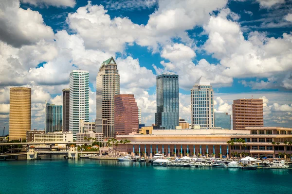 Skyline di Tampa Florida Immagine Stock