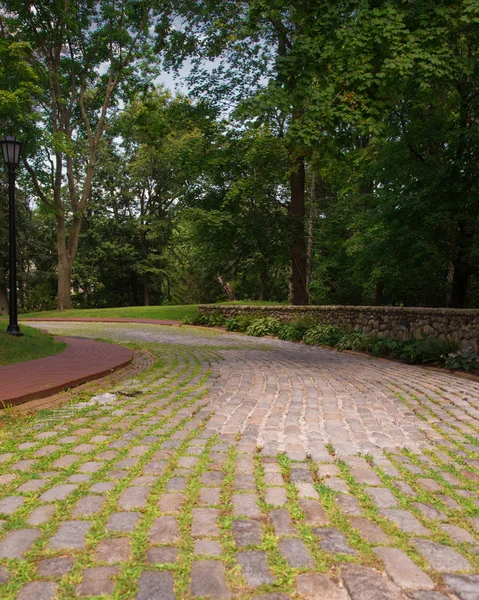 Cobblestone Path — Stock Photo, Image