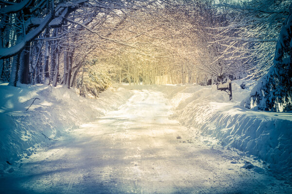 Snowy Road