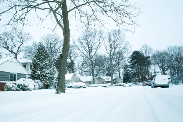 Snöstorm — Stockfoto