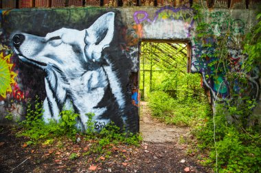 Graffiti.