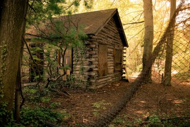 Secluded Lob Cabin clipart