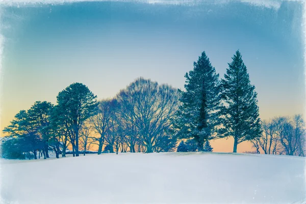 Vinterlandskap — Stockfoto