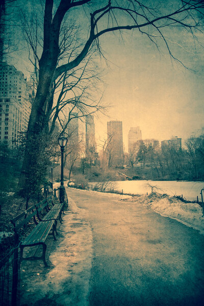 Vintage toned view of Central Park, NYC on winter day