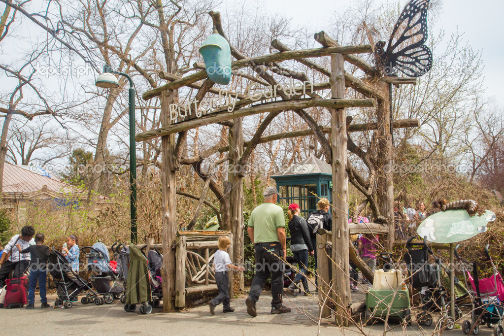 Butterfly Garden Bronx Zoo Stock Editorial Photo © littleny 45177931