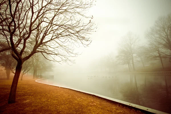 霧の朝池 — ストック写真