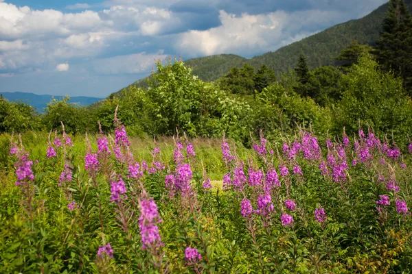 White Mountains New Hampshire — Stock Photo, Image