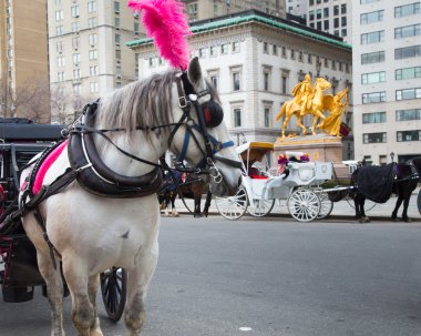 Atlı arabası nyc