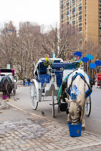 Promenade en calèche à cheval NYC — Photo
