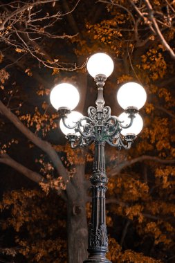 Geceleyin düşen ağaçlara karşı görülen klasik sokak lambası.