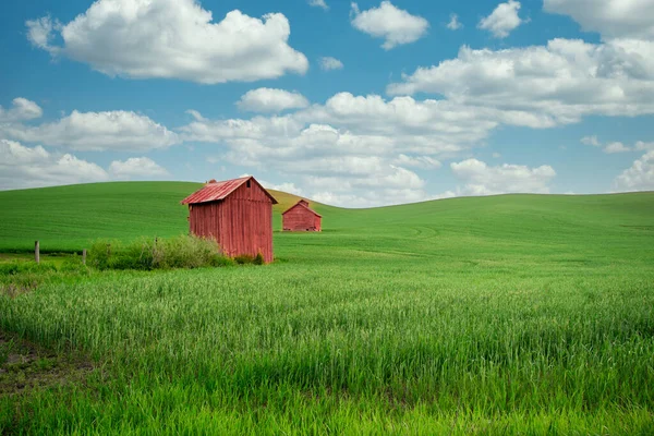 Rustieke Houten Boerderij Schuur Glooiende Groene Heuvels — Stockfoto