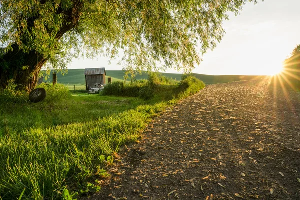 Rural Farm Scene Viewed Palouse Washington State Sunny Morning — Fotografia de Stock