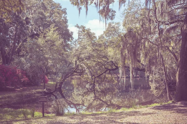 Soft Toned Vintage Look Outdoor Springtime Landscape — Stock Photo, Image