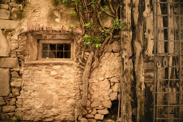 Altes Steingebäude Außen Mit Fenster Und Kriechpflanze Auf Mittelalterlichem Europäischem — Stockfoto
