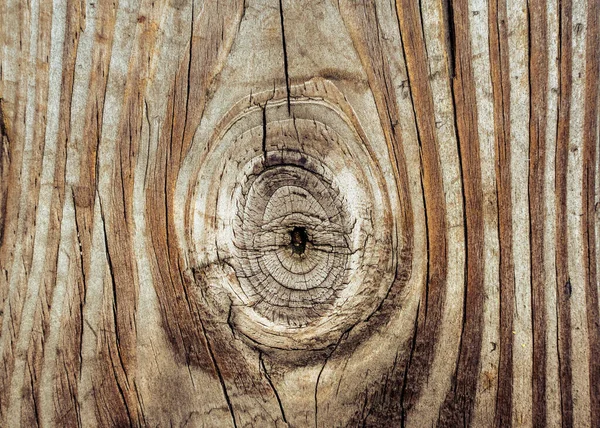 Detailed Wood Texture Knot Grain Close — Stok fotoğraf