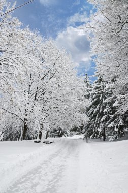 Winter park peyzaj