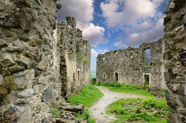 As ruínas do castelo de Nevitsky — Fotografia de Stock