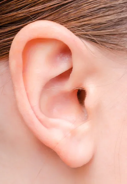 Ear of a young woman — Stock Photo, Image