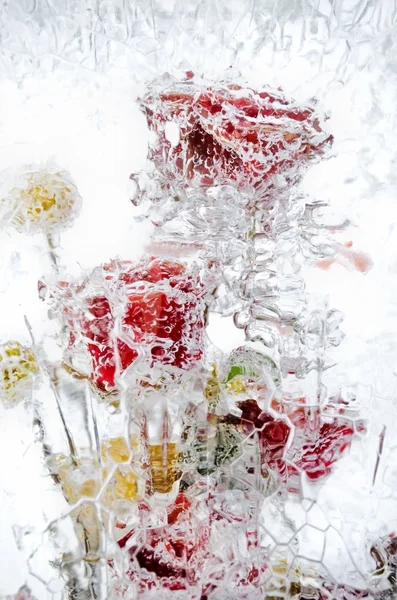 Fina bukett blommor i isen — Stockfoto