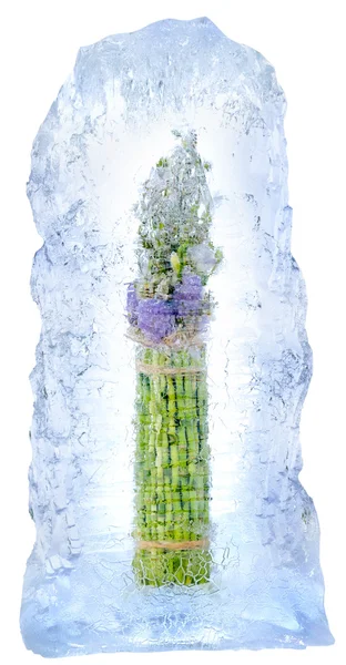 Frozen bamboo — Stock Photo, Image