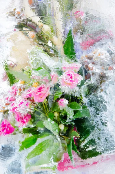 Ледяные розы — стоковое фото