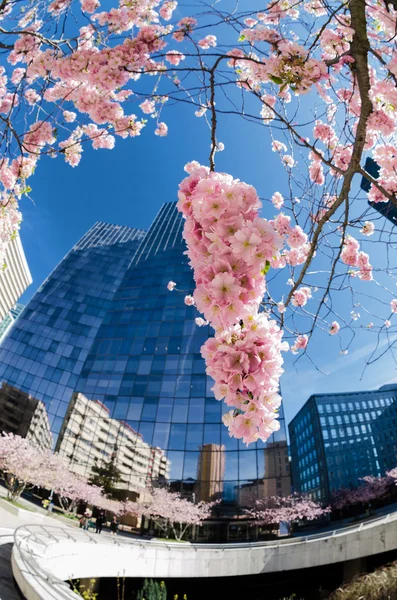 Nowoczesna architektura, w dzielnicy biznesowej la Defense, pari — Zdjęcie stockowe