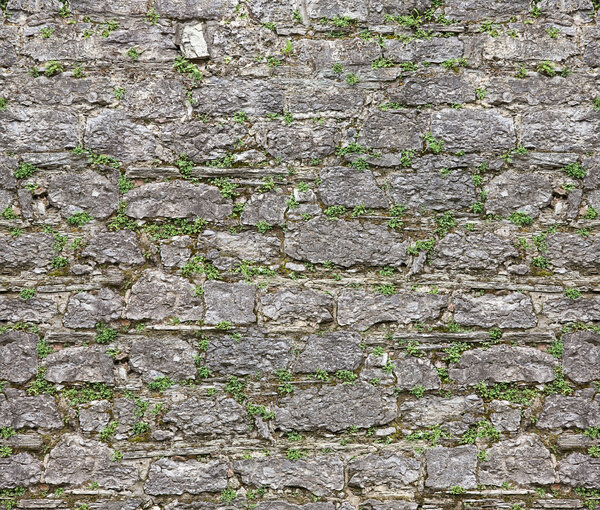 Ancient stone wall in the background