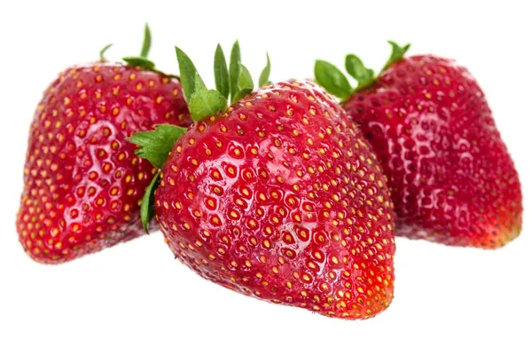 Nur saftige Erdbeeren — Stockfoto