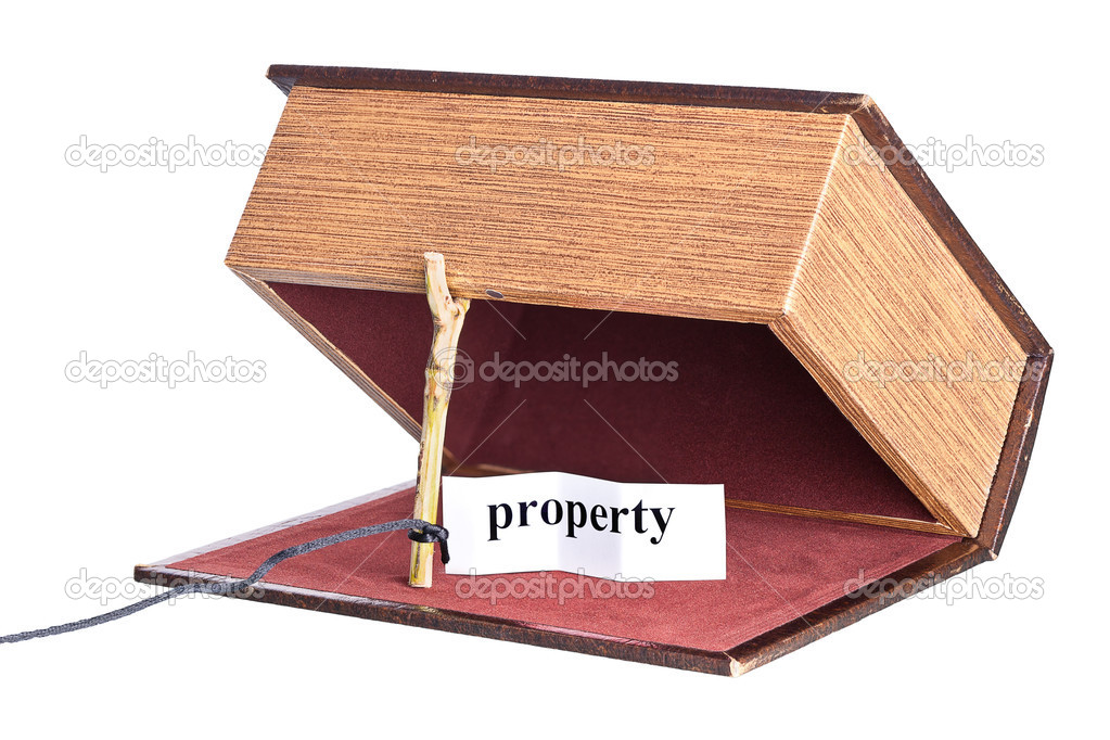 Property trap, catch