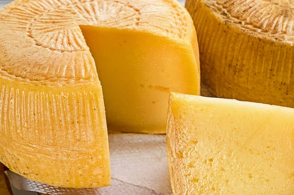 奶酪平底锅 — 图库照片
