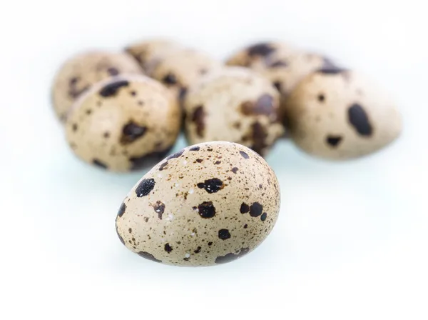 Huevos de codorniz aislados en blanco — Foto de Stock