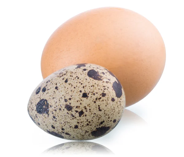 Quail and hen's eggs on white background — Stock Photo, Image