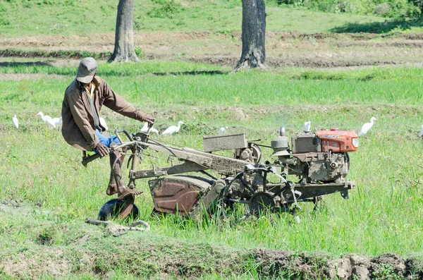 農民は田んぼを扱います。時代遅れの技術はスリランカでどこでも使用されます。 — ストック写真