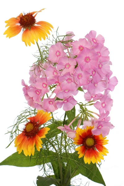 Festlicher Strauß Sommerblumen — Stockfoto