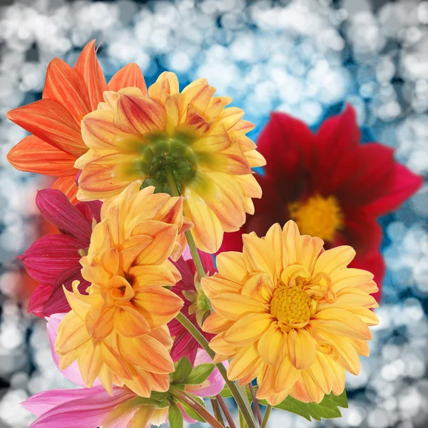 Dekorative Blumengestaltung — Stockfoto