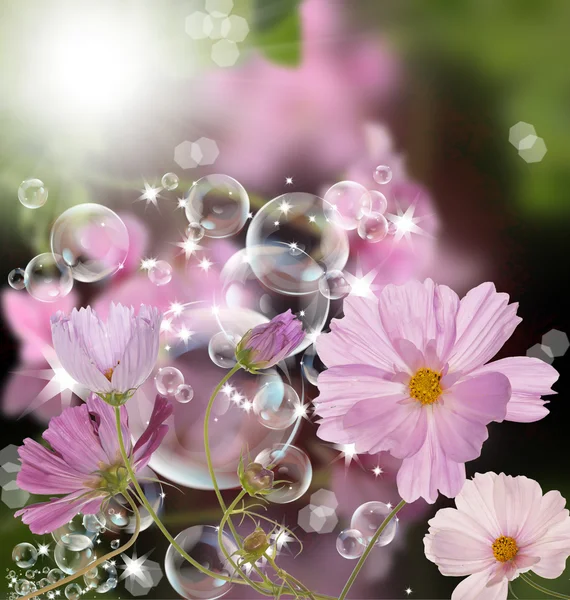 Dekorativ schöne Blumengestaltung — Stockfoto