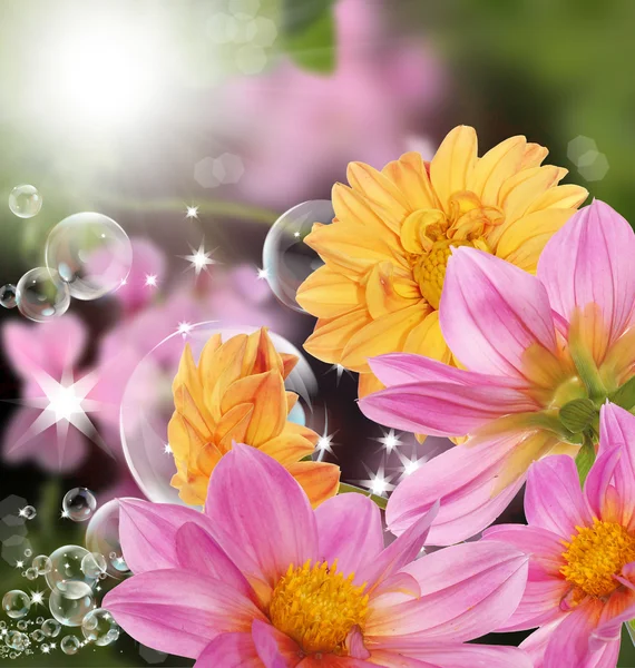 Krásná dekorativní květina design — Stock fotografie