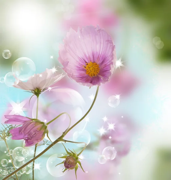 Ontwerp met decoratieve mooie bloemen — Stockfoto