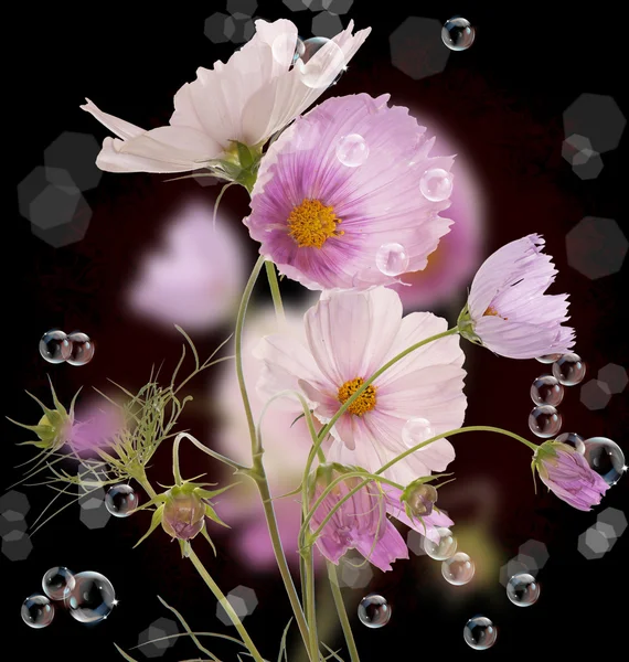 De prachtige lente bloemen tuin — Stockfoto