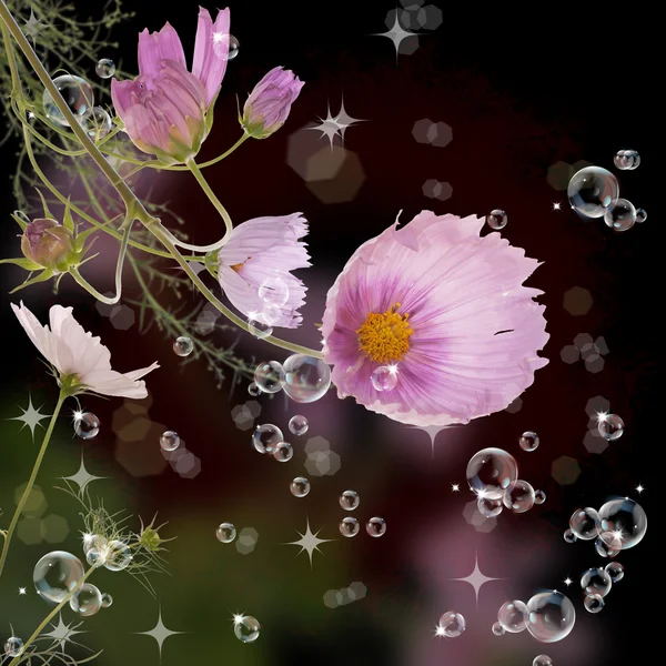 Dekoratif Bahçe bahar çiçekleri — Stok fotoğraf