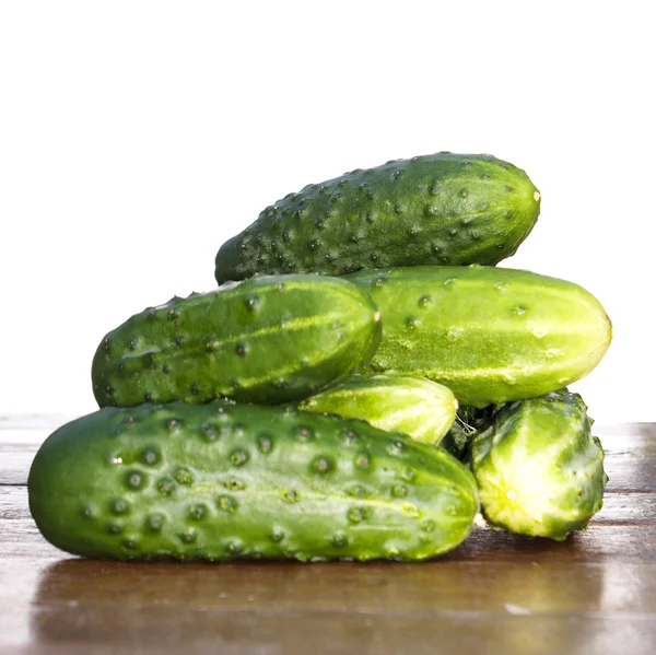 Fresh young cucumber — Stock Photo, Image