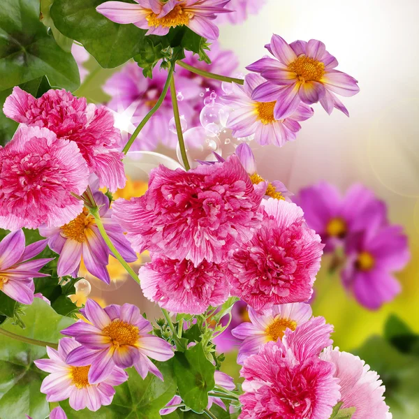 아름 다운 꽃 정원 디자인 — 스톡 사진