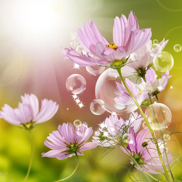 Virágos kert gyönyörű design — Stock Fotó