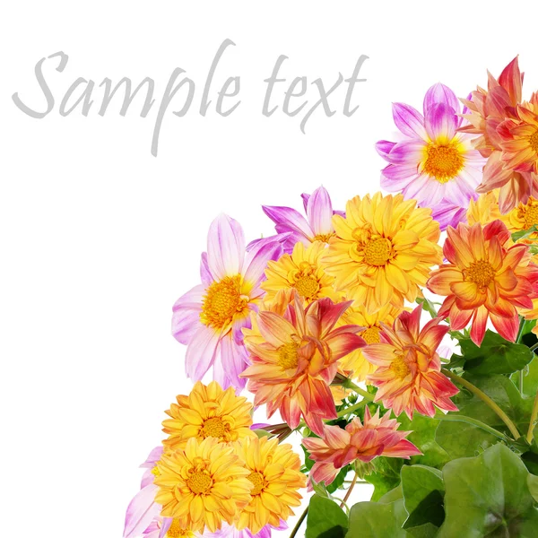 Flowers decorative beautiful card — Stock Photo, Image