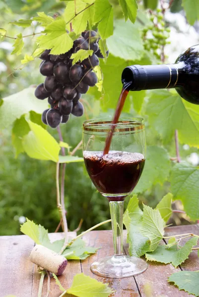 Copa de vino y uvas negras — Foto de Stock