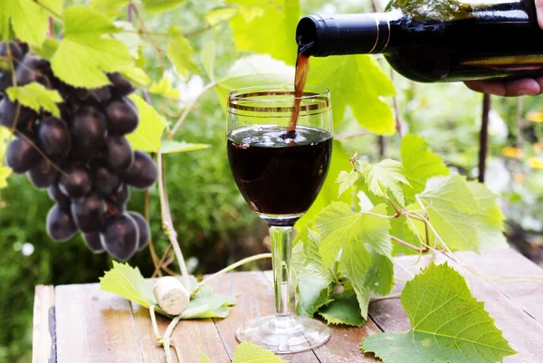 Glass of wine and black grapes — Stock Photo, Image