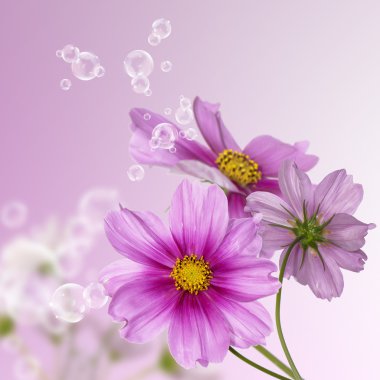 Dekoratif güzel bir çiçek tasarım