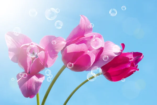 粉红色装饰美丽的花朵 — 图库照片