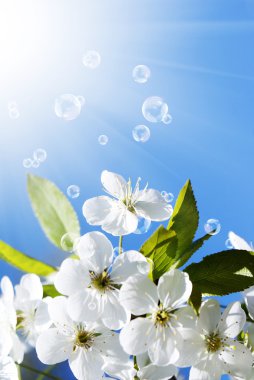 Bahar güneşli doğa